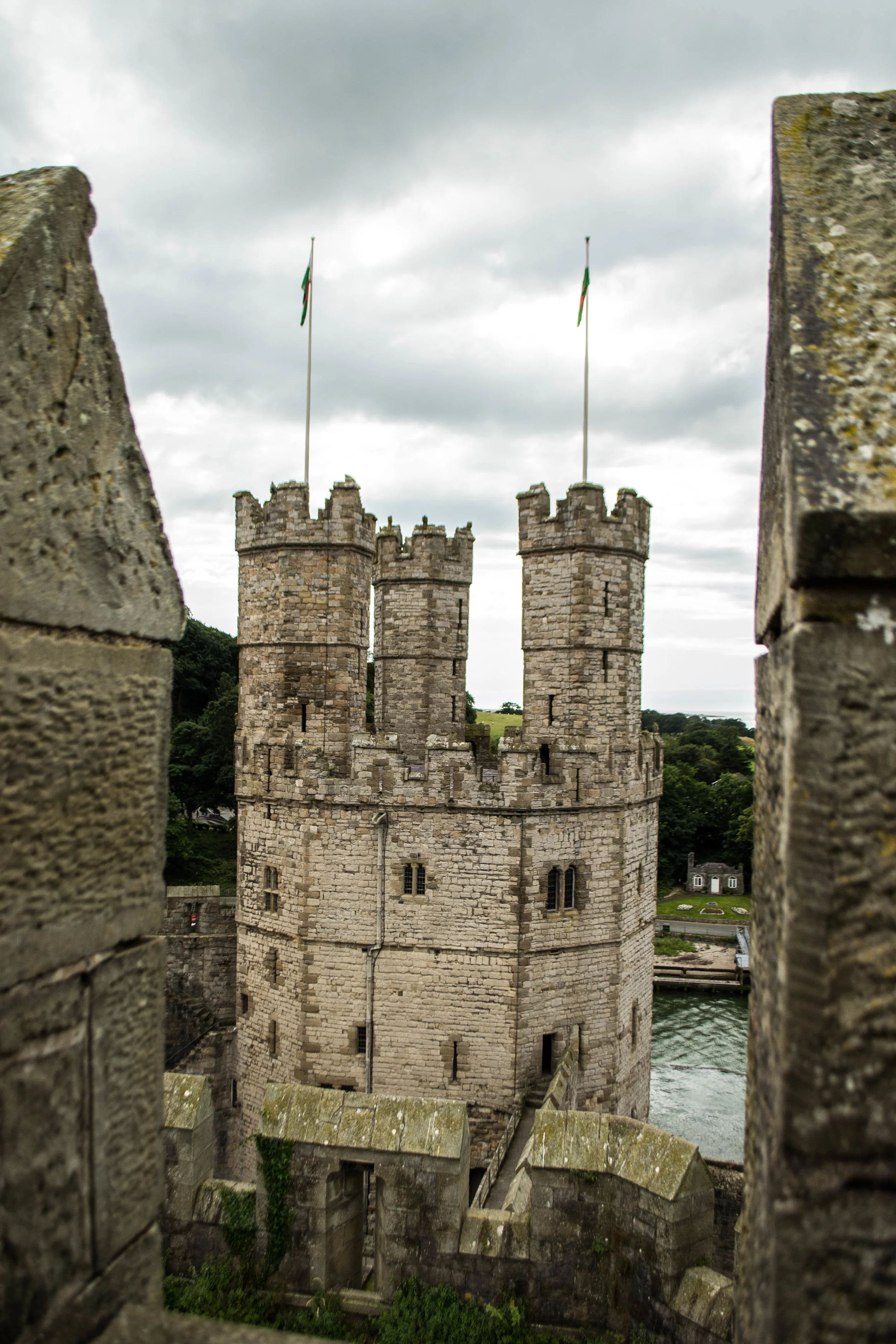 DSC_0308.jpg
